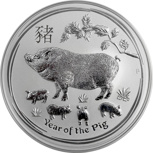 005256_stribrna_investicni_mince_year_of_pig_rok_vepre_lunarni_5