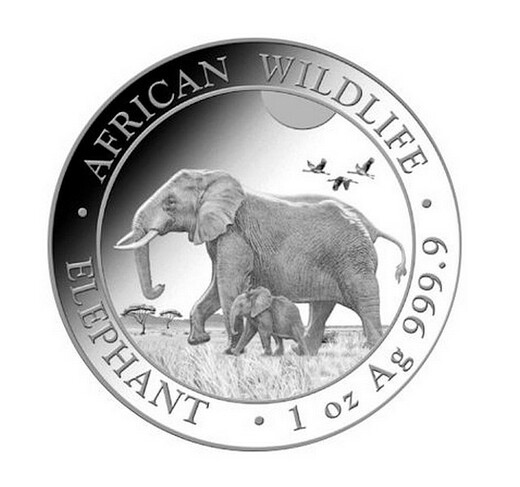 Stříbrná mince Slon africký Somálsko 1oz 2022